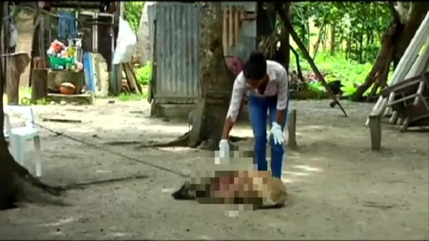 El maltrato animal es de psicópatas