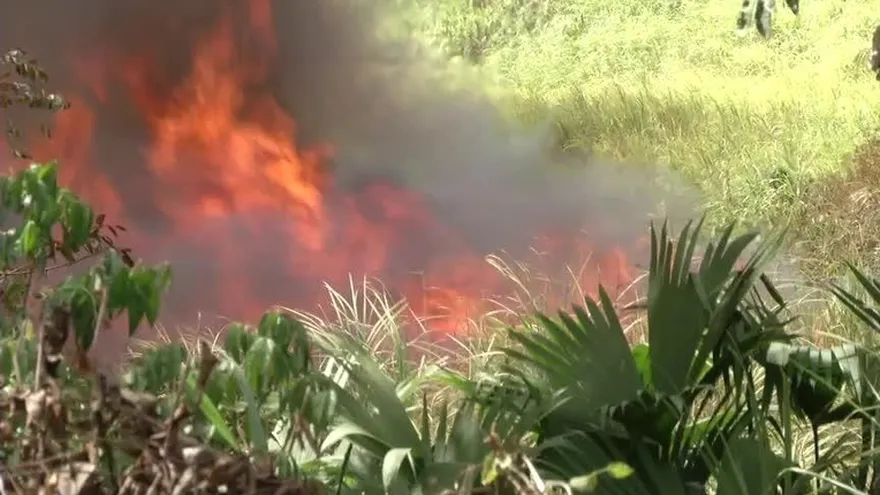 Evalúan aumentar sanciones a responsables de incendios forestales