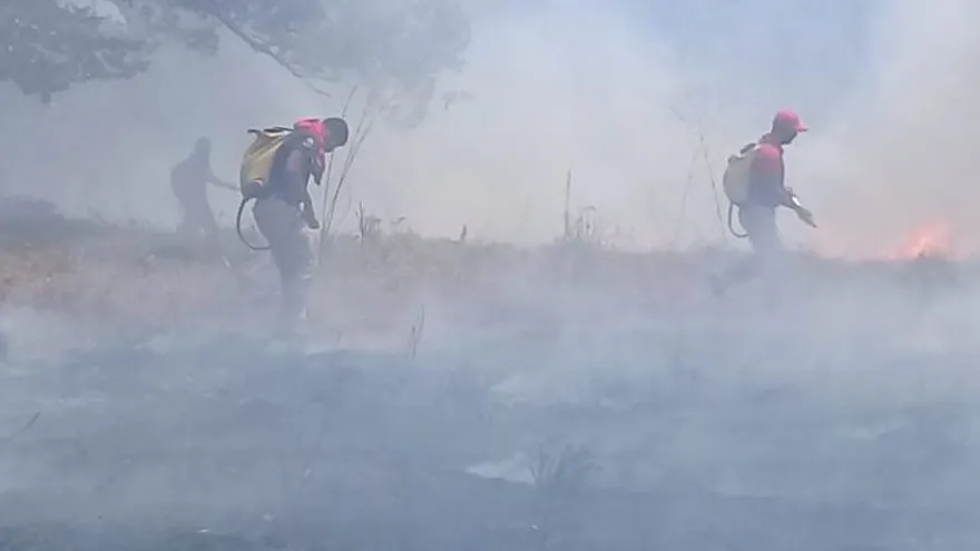 CBP: En primeros días de 2021 se han registrado 6 quemas de herbazales en el país