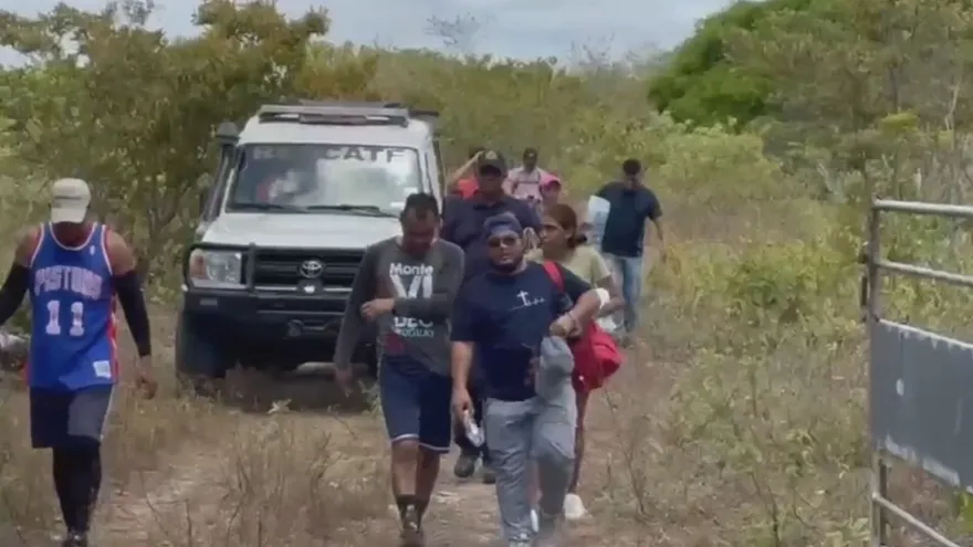 Niños habrían provocado ataque de abejas africanizadas en Penonomé