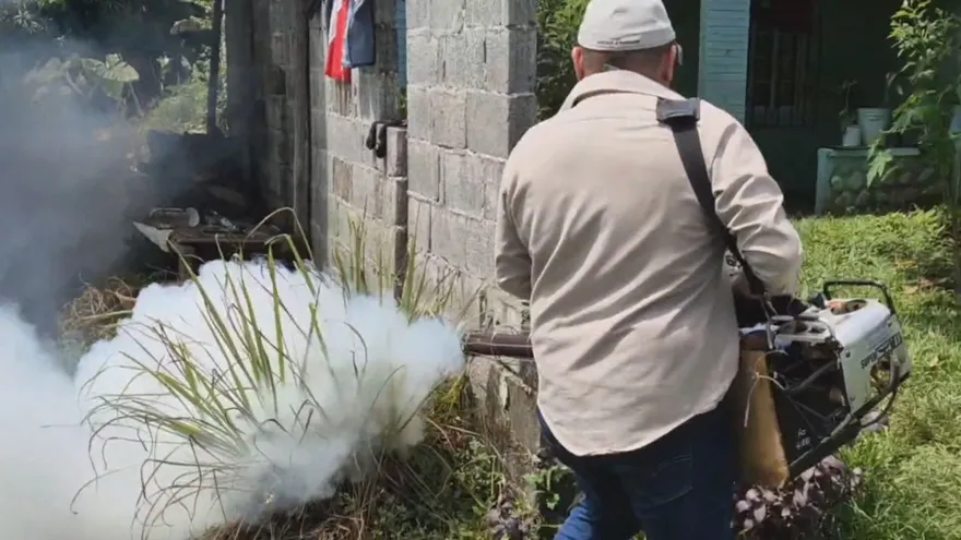 Piden a chiricanos eliminar criaderos del mosquito Aedes aegypti