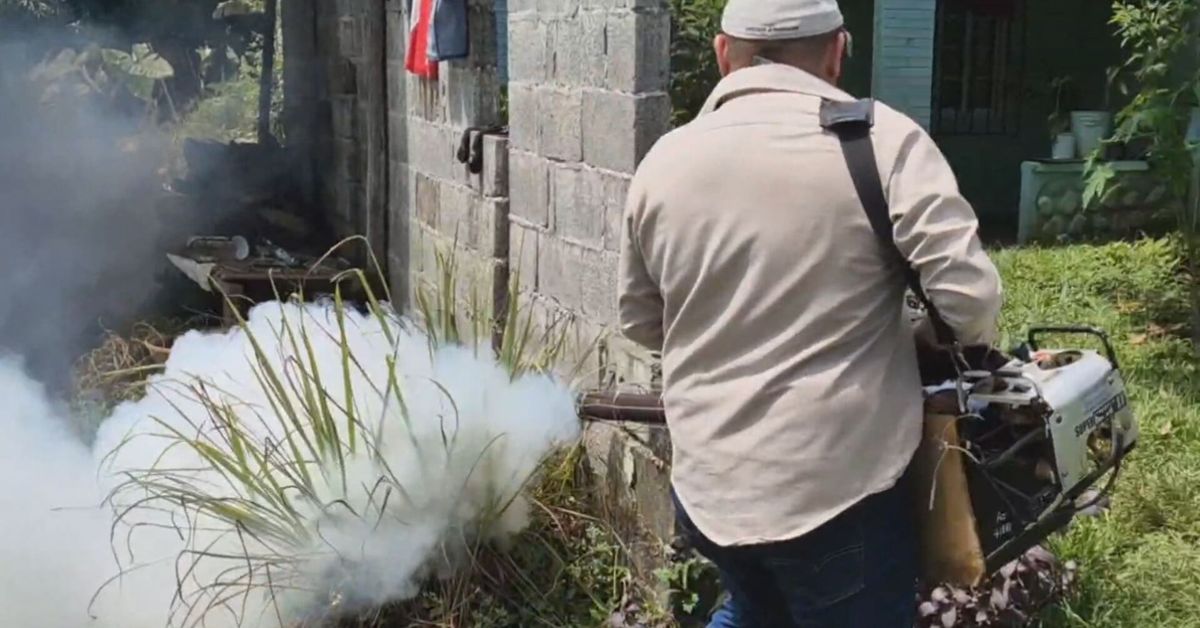 Más de 60 casos de dengue en Chiriquí; Minsa pide a eliminar criaderos
