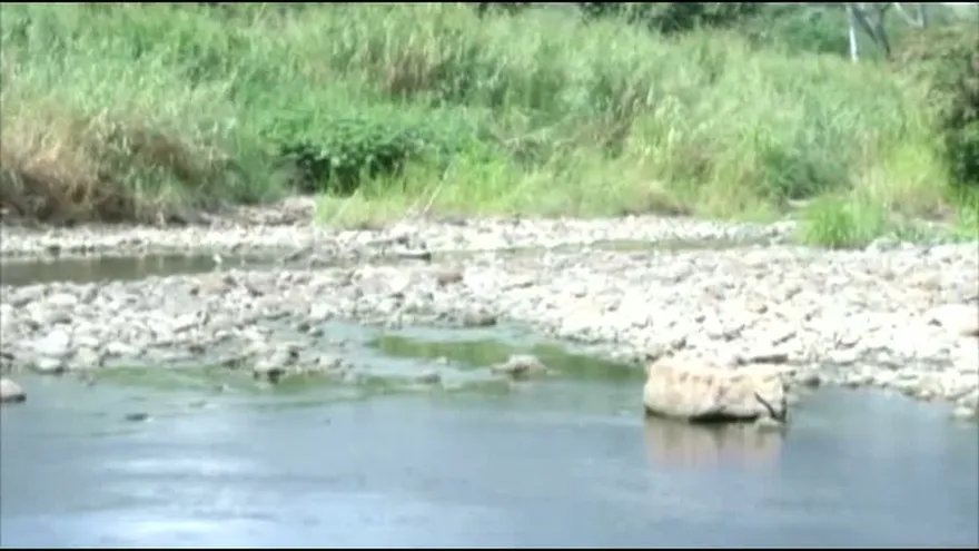 Castigarán a quienes desperdicien el agua