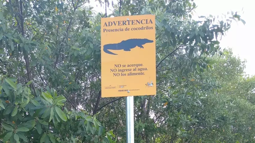 Letrero que advierte sobre la presencia de cocodrilos.