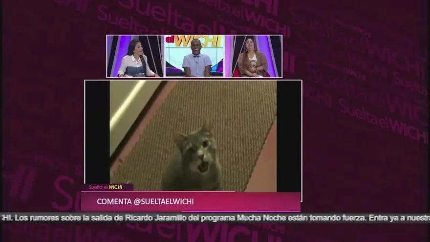 Mr. Fox sale fumando en redes sociales