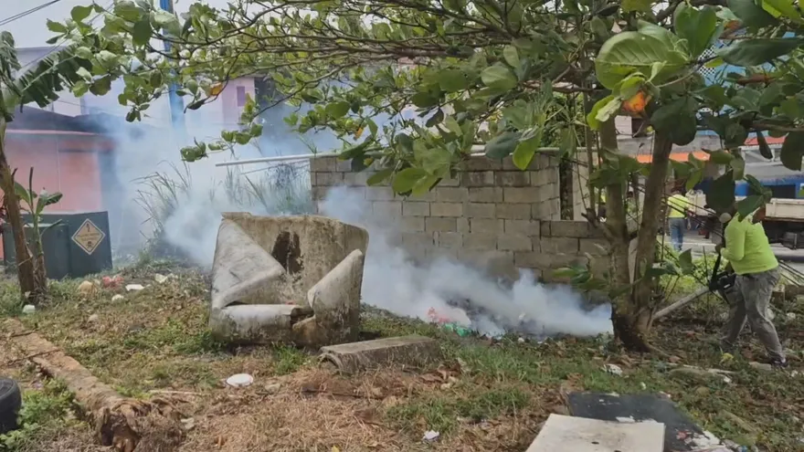 Fumigación contra el mosquito Aedes aegypti en Río Alejandro, Colón