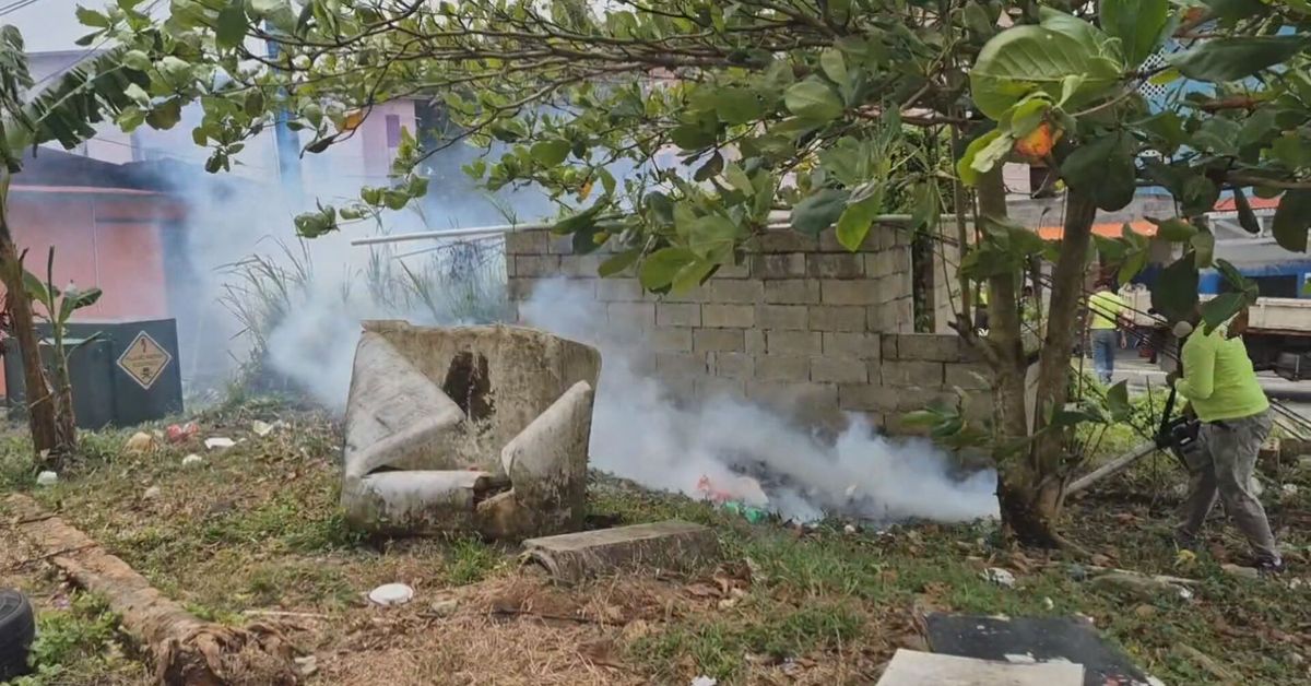 Río Alejandro concentra aumento de casos de dengue en Colón