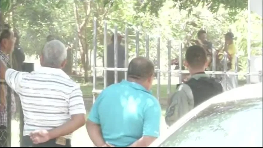 Árbol acaba con la vida de anciano