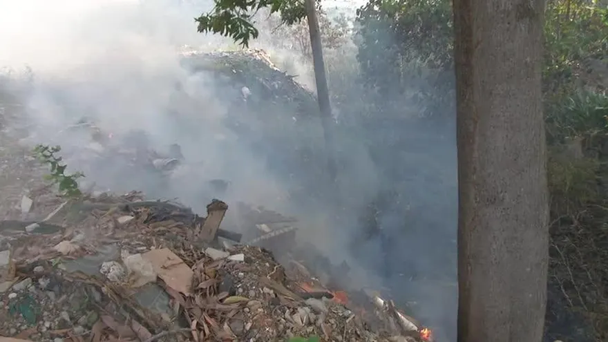 Temporada seca produce más casos de incendios forestales