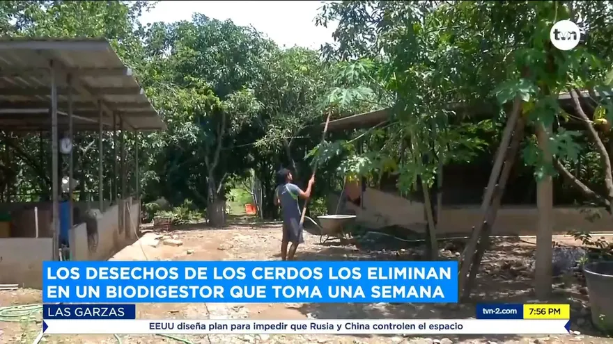 Crean abono orgánico en patio de una casa en Las Garzas