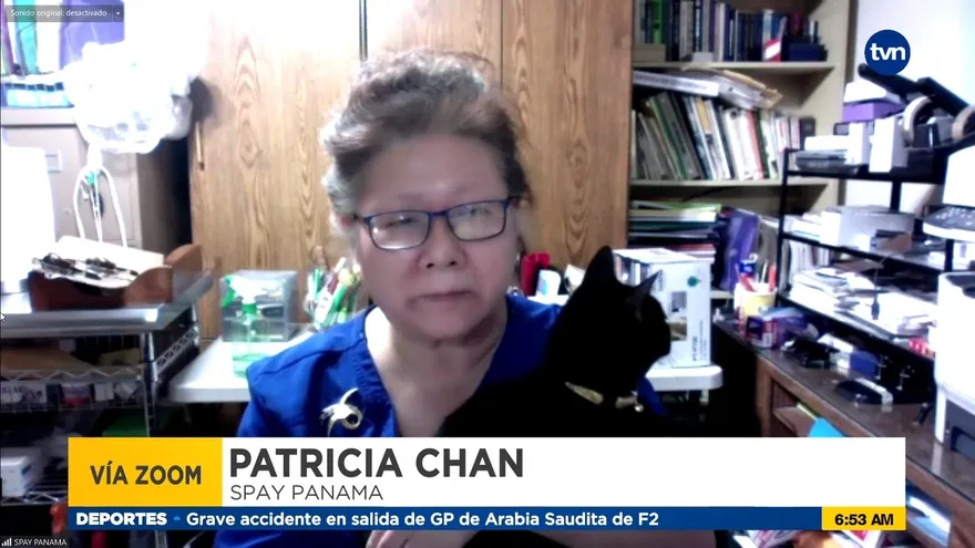 Abandono de mascotas aumenta en fin de año