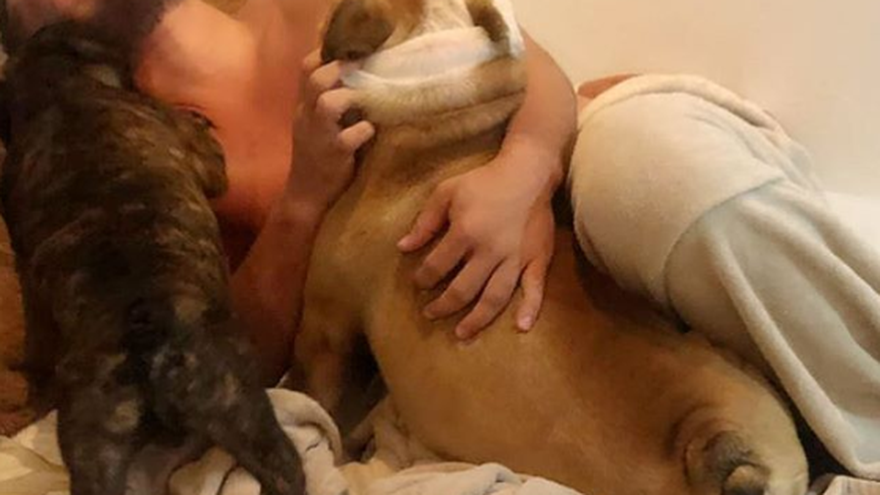 ¿Con quién se queda el perro?