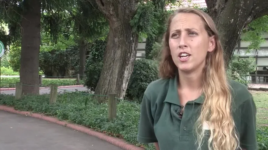 Entrenadores de animales, un trabajo vital en los zoos y ecoparques