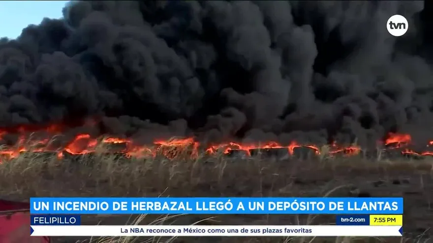 Los incendios de herbazales siguen causando daños al medio ambiente