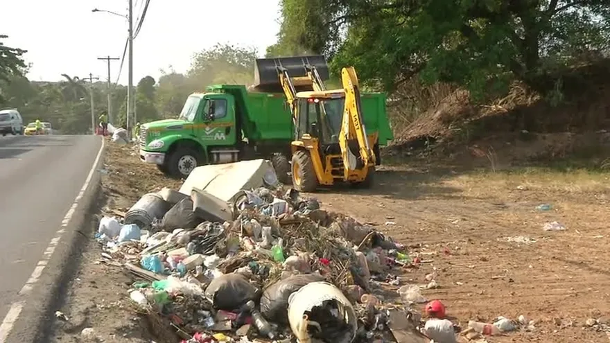 Intensifican los operativos para eliminar criaderos de mosquitos