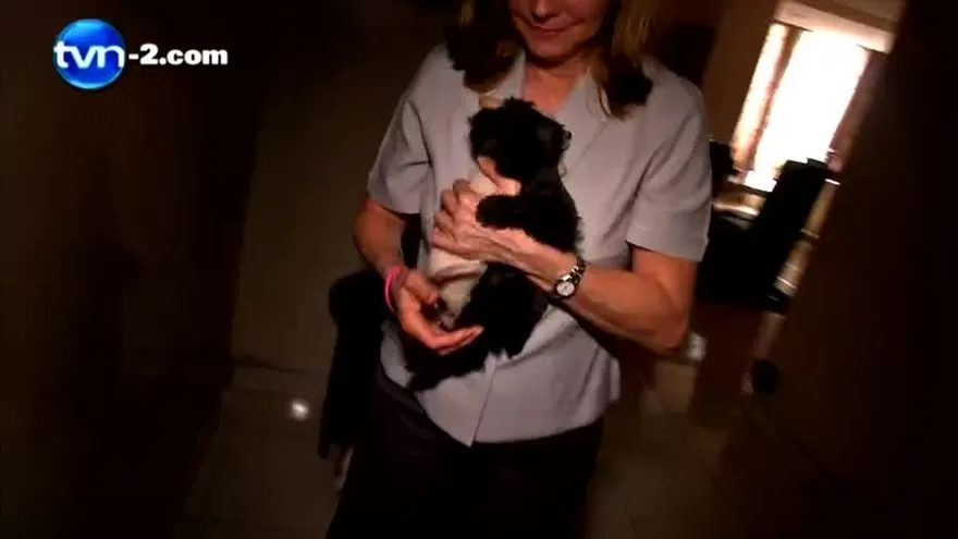 SEGURO PARA MASCOTAS