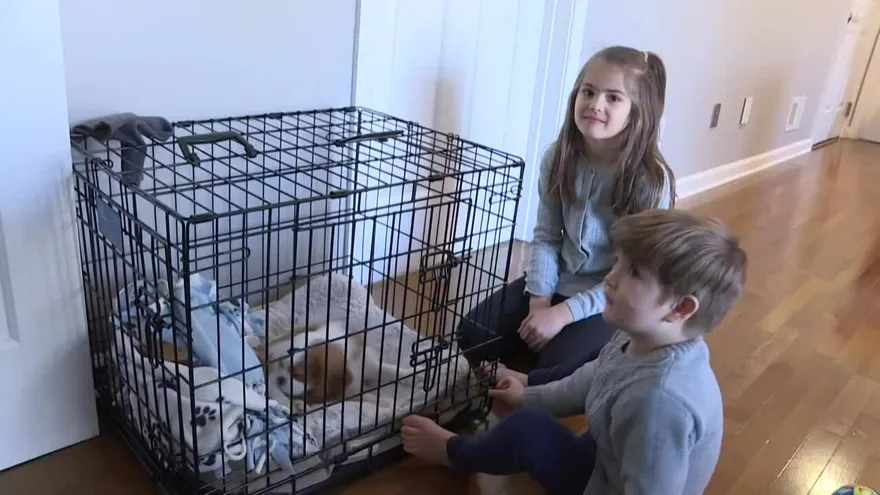 Las "supercélulas" que curaron a Johan de un raro trastorno genético