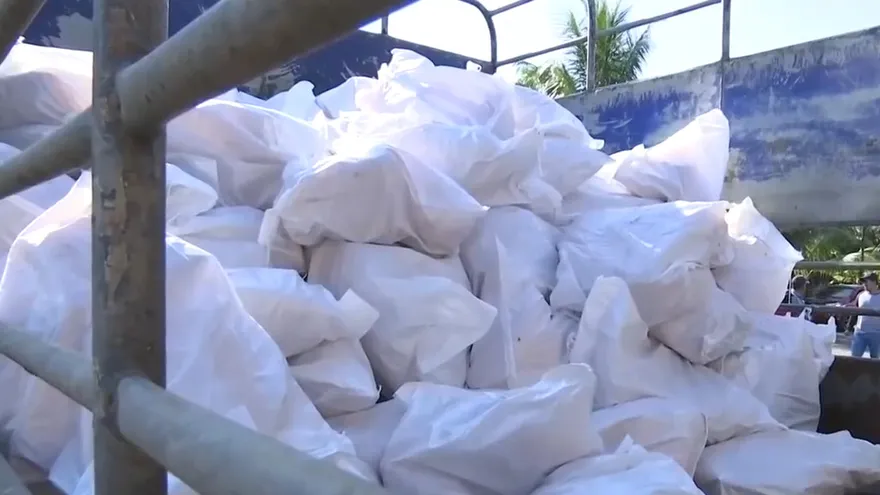 Cámara sobre jamones: Monto en subsidios supera a los aportes del Canal