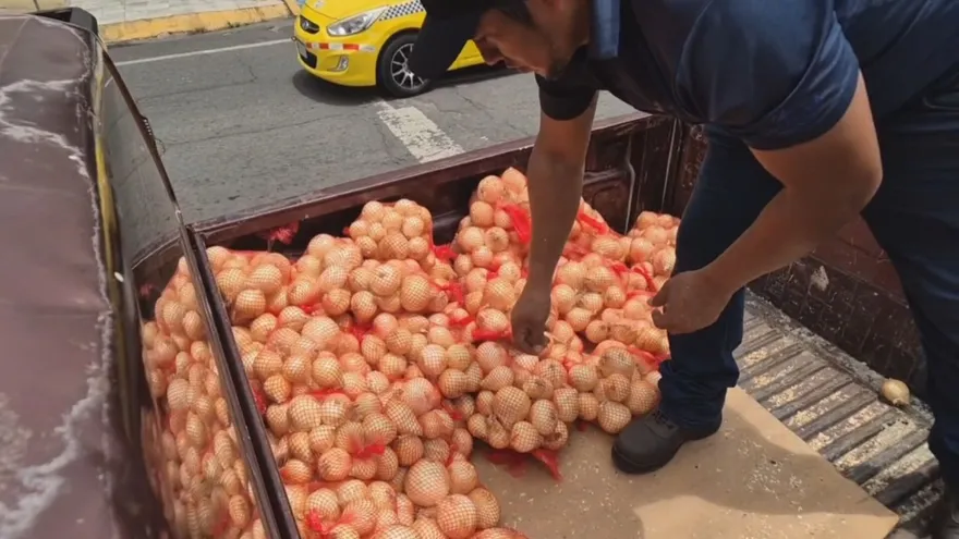 Venden cebollas baratas en David