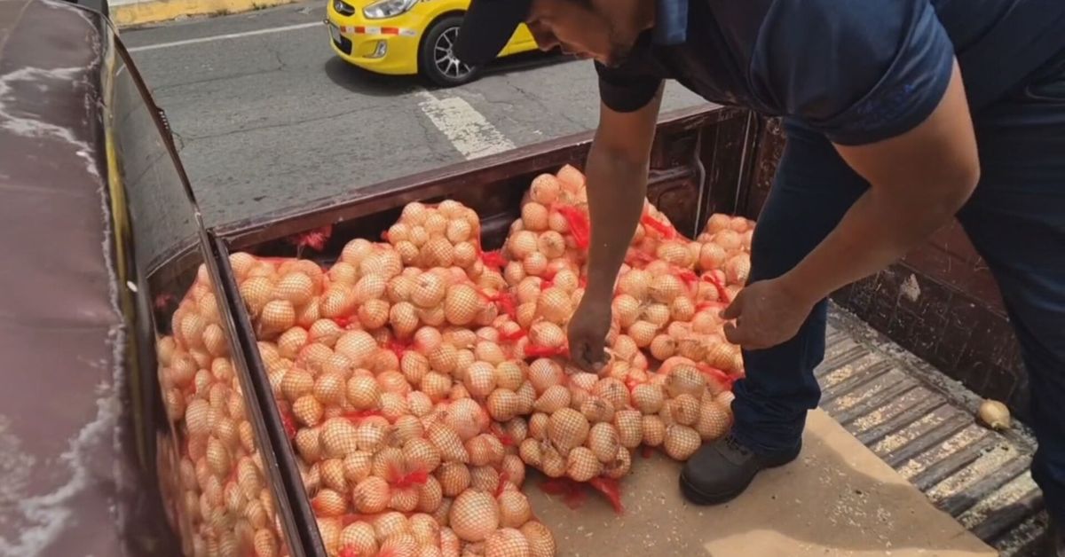 Más de 5 mil libras de cebolla se venden en feria del IMA en David