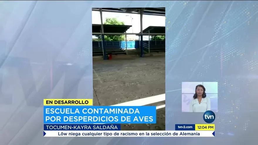 Escuela contaminada por excremento de aves