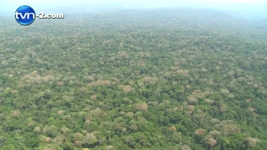 Panamá aún no define ruta de interconexión eléctrica con Colombia