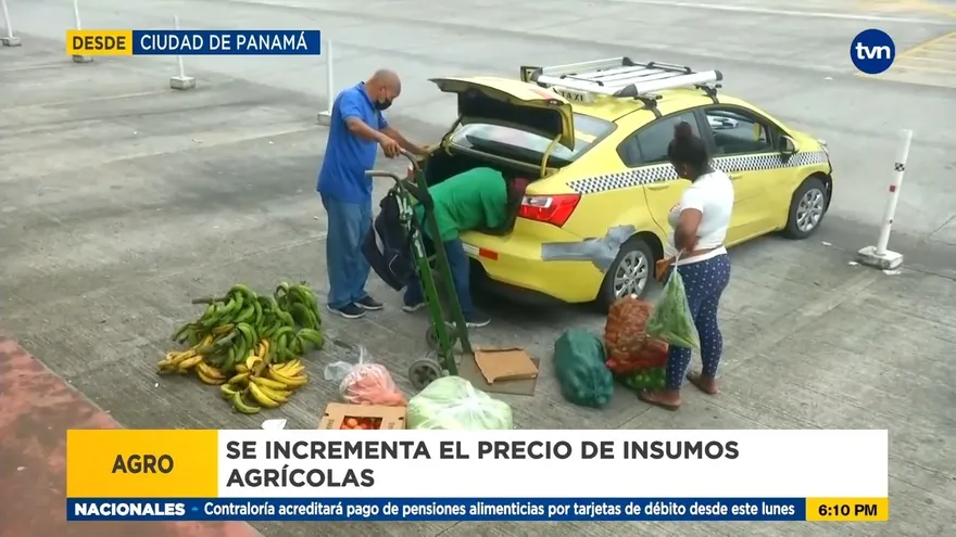 Costo de insumos agrícolas provocará aumentos en precios de alimentos