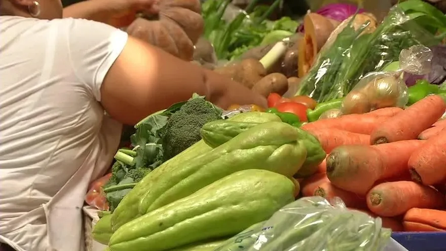 Hub de alimentos en Panamá