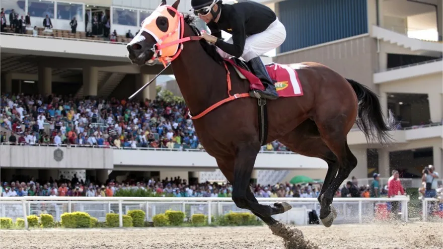 Jorge Zeta tomará parte en el Clásico Año Nuevo en Panamá