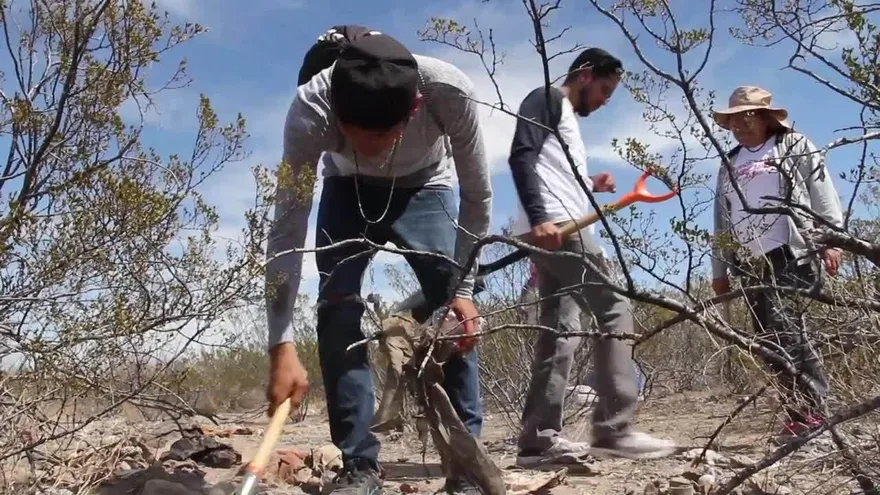 La incesante búsqueda en México de las "muertas de Juárez"