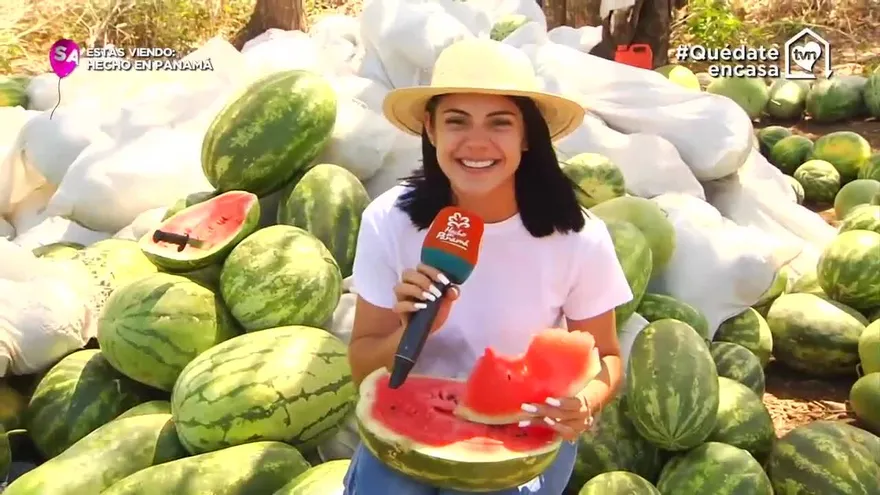 Hecho en Panamá 28 de marzo de 2020