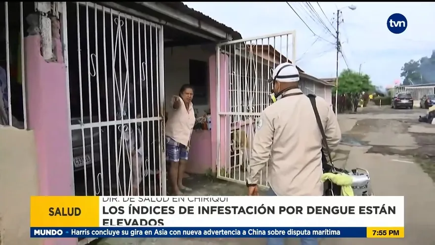Reportan altos índices de infestación por dengue