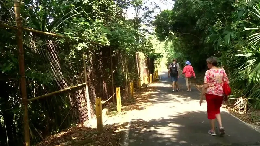 Noticiero MD 9 de marzo del 2017 - Bloque 2.