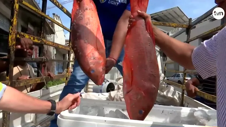 Pescado para boxeadores
