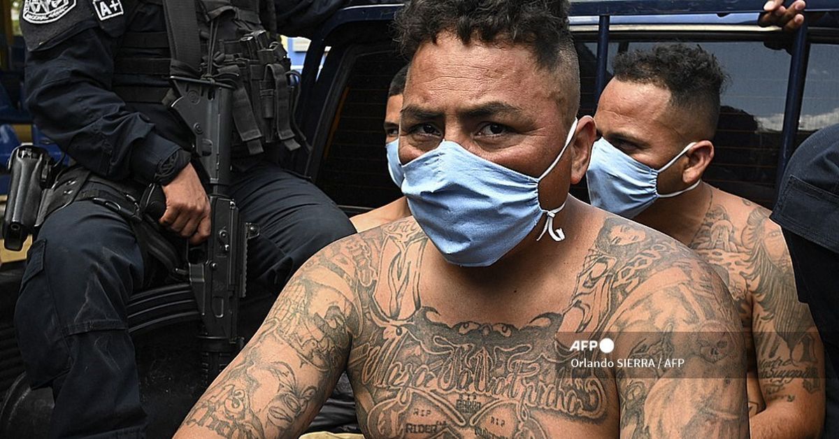 Justicia de El Salvador abre juicio masivo contra líderes de la Mara Salvatrucha