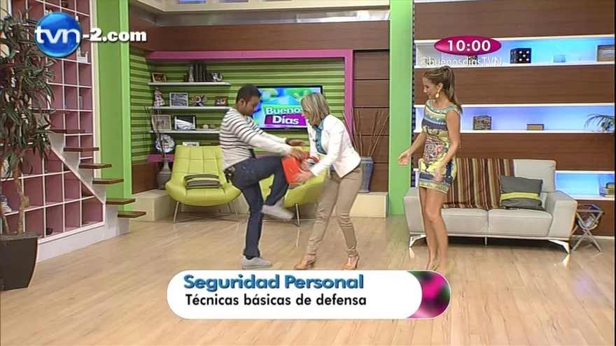 Seguridad ¨Personal "Técnicas básicas de defensa"