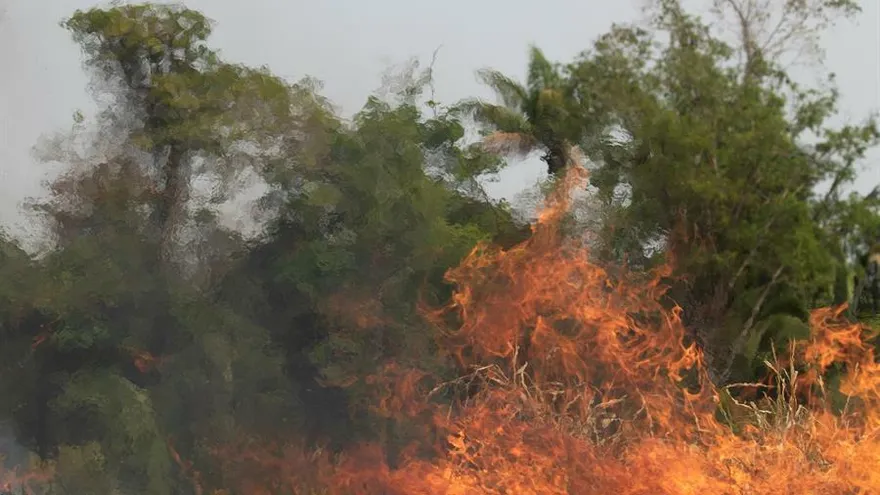 Vista de uno de los incendios este sábado, en Rondonia (Brasil).