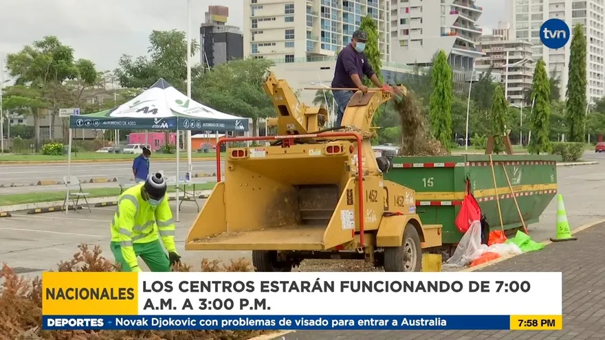 Conozca donde están ubicados los centros de acopio de arbolitos de navidad