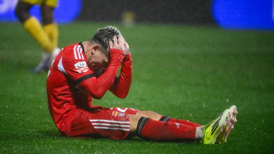 Gianluca Prestianni jugador argentino que milita con Benfica