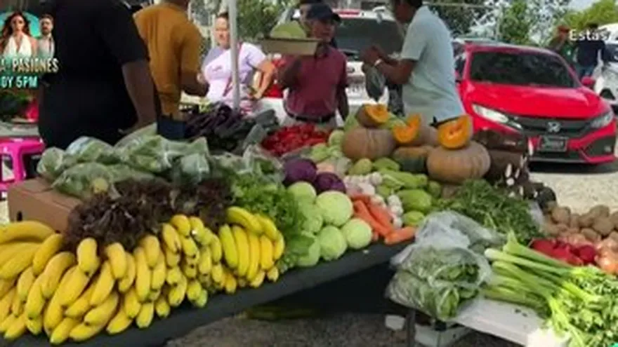 Zuleyka desde la feria de alimentos