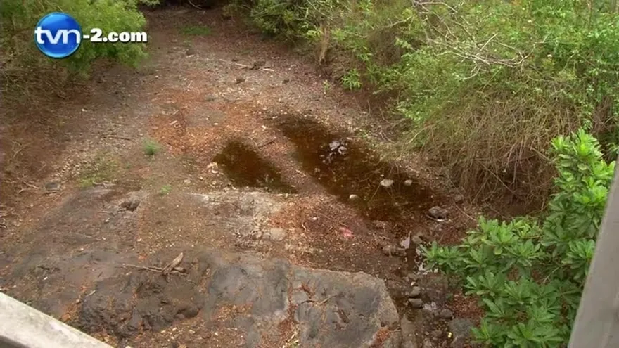 Productores piden apoyo del gobierno para enfrentar los efectos de la sequía