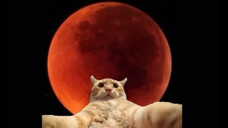 Memes de la súper luna roja
