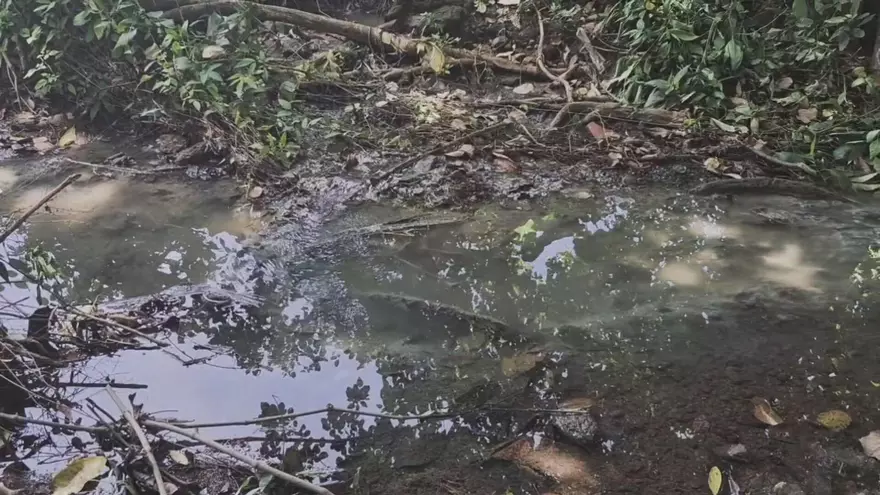 Contaminación de un afluente en Veraguas