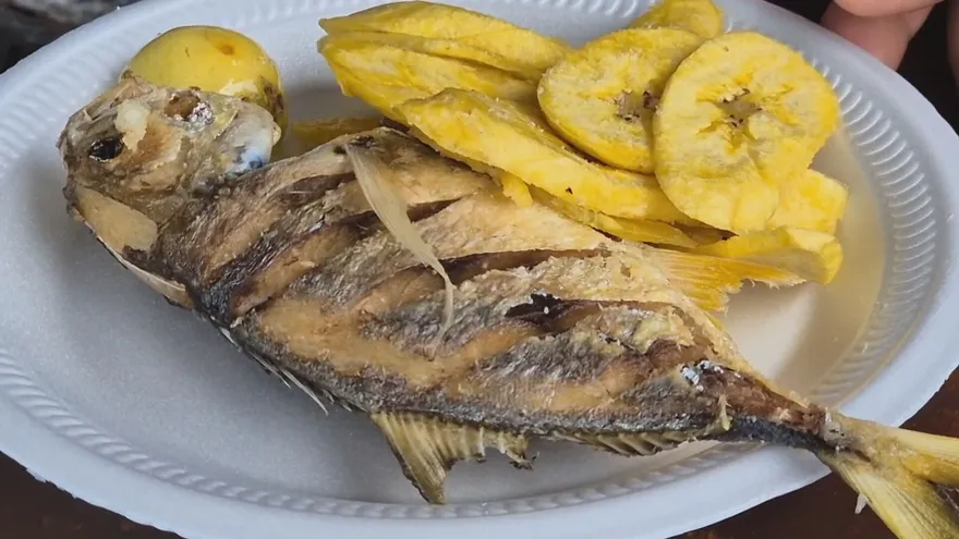 Más de 800 libras de pescado para una tradición que reúne a Guararé