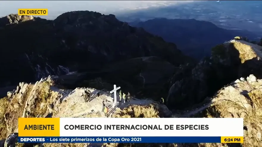 Realizarán en Panamá convención sobre especies amenazadas