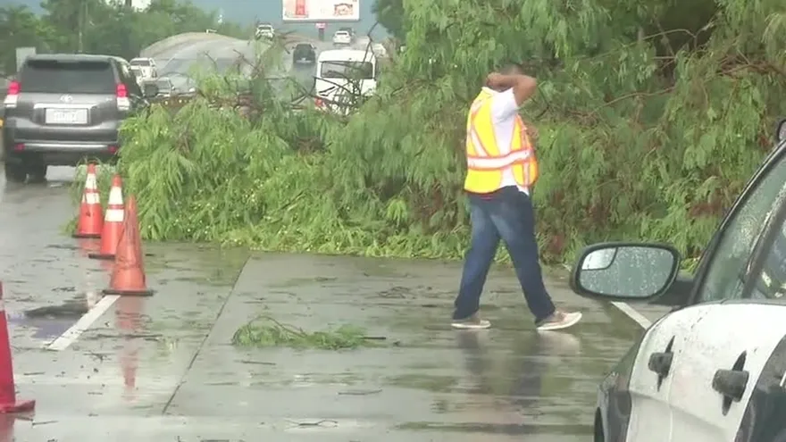 Fuertes vientos y lluvias provocan afectaciones en la capital