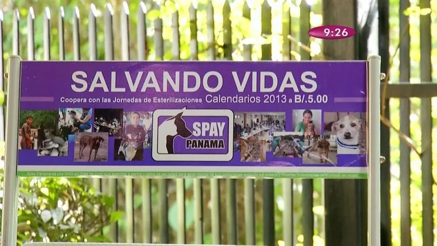 Spay Panamá