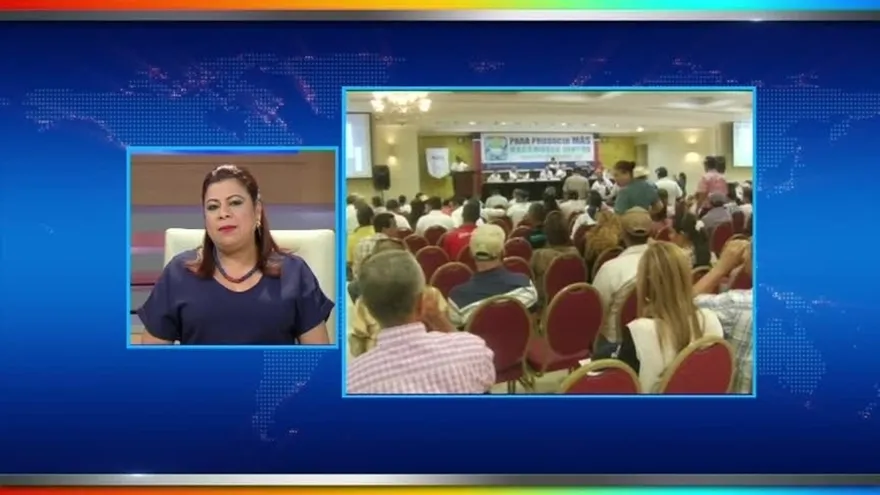 Productores de arroz rechazan importaciones del grano