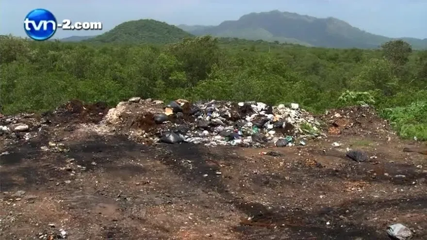 Anam protege manglares de Chame, pero ignoran disposición