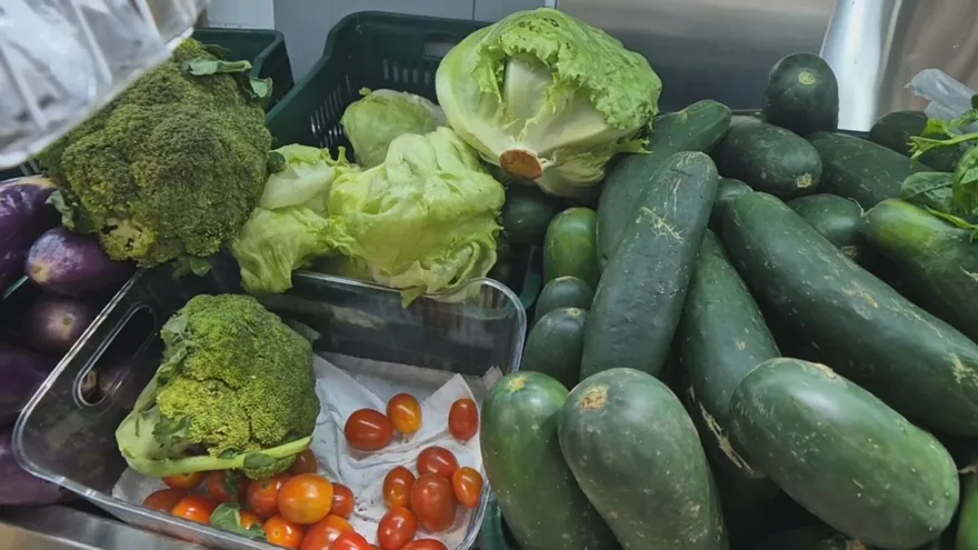 Vegetales